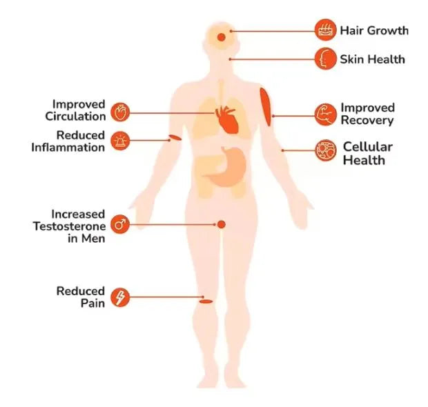 red light therapy supports ATP production, skin health, and recovery
