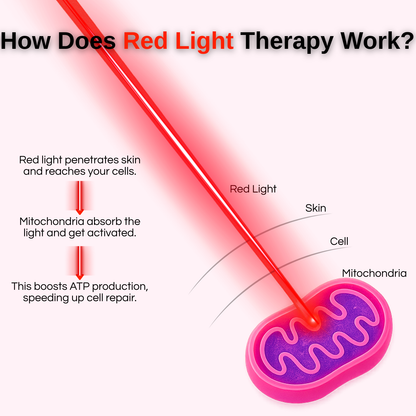 Photobiomodulation Bed 9-Wavelength Full-Body Red Light Therapy